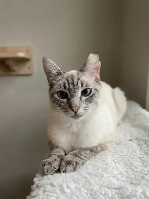 Maya photo 2