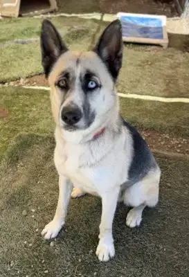 Zeus