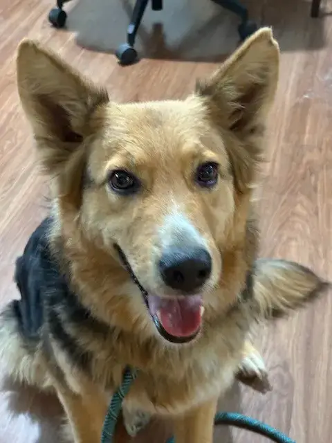 Heidi photo 4