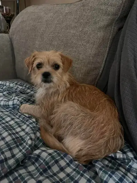 Lil Faith photo 3