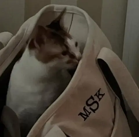 Luna photo 5