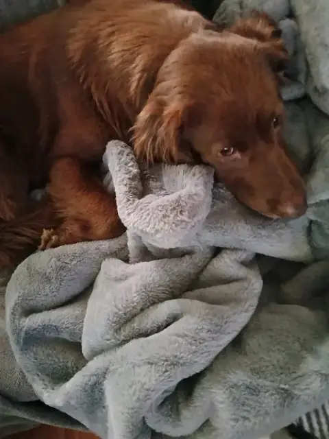 Sadie photo 4