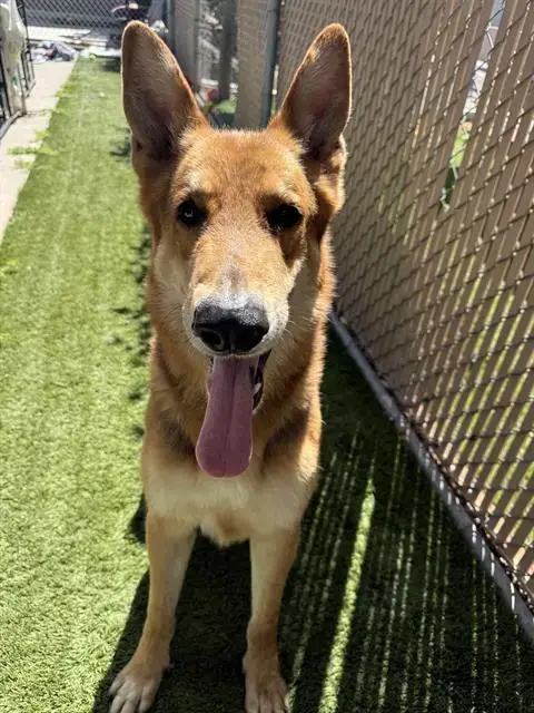 Luca