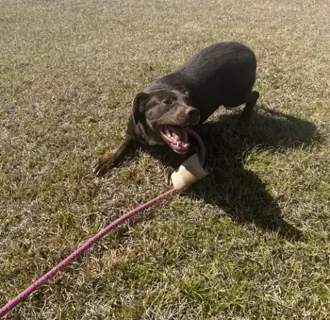 Lilah photo 2