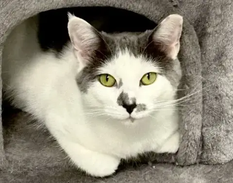 Sammy