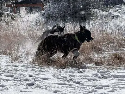 Shaka Fka Oakley In Co photo 3
