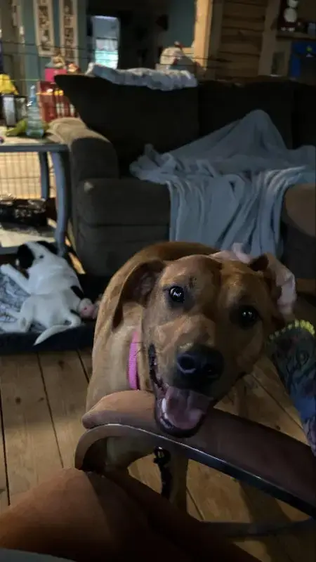 Penny photo 2