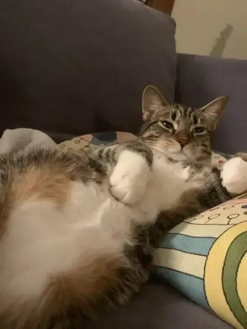 Butters photo 4