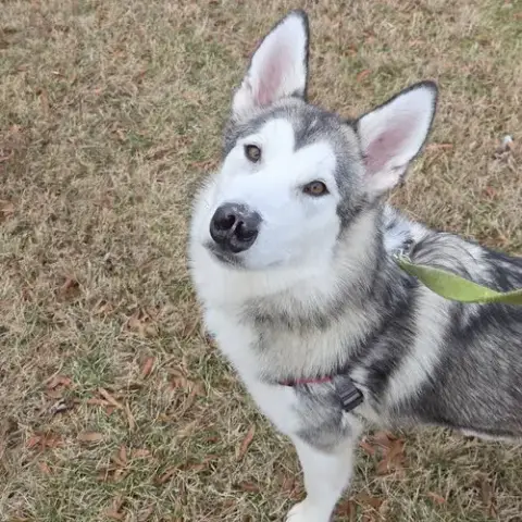 Sadie photo 4