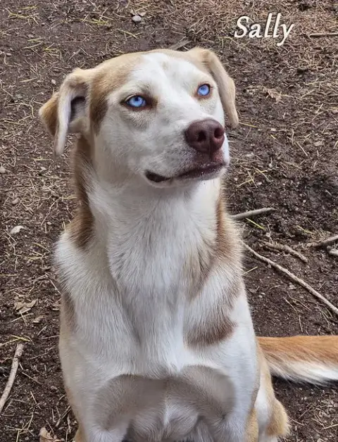 Sally