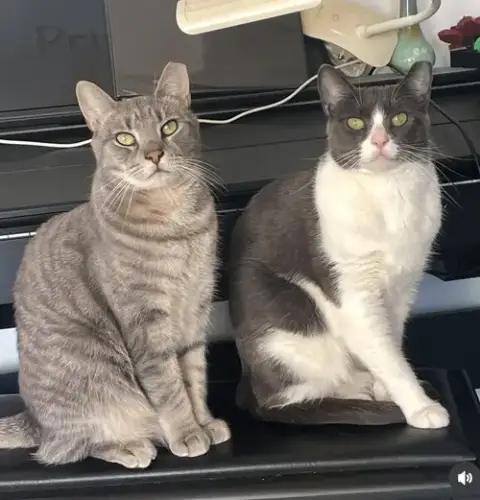 Big Boy And Mr. Man