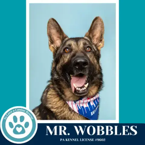 Mr. Wobbles 042526 photo 2