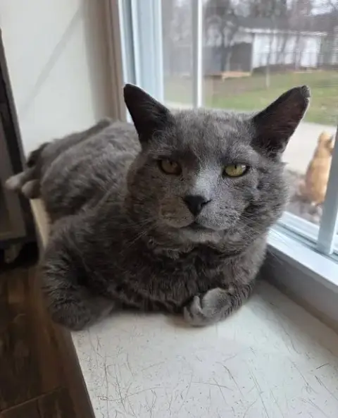 George