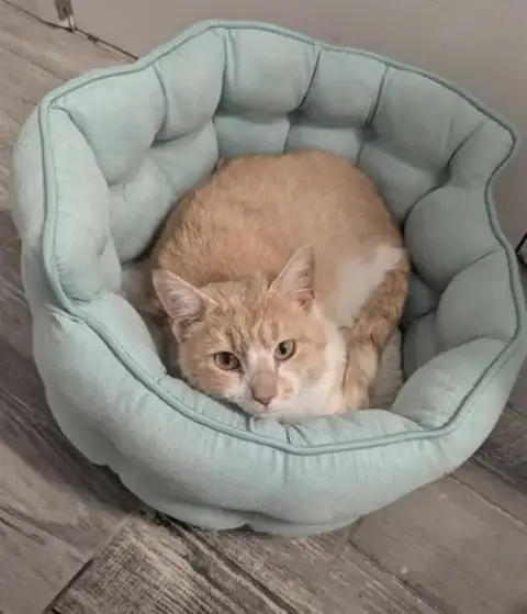 Chester
