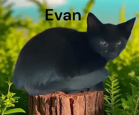 Evan photo 2