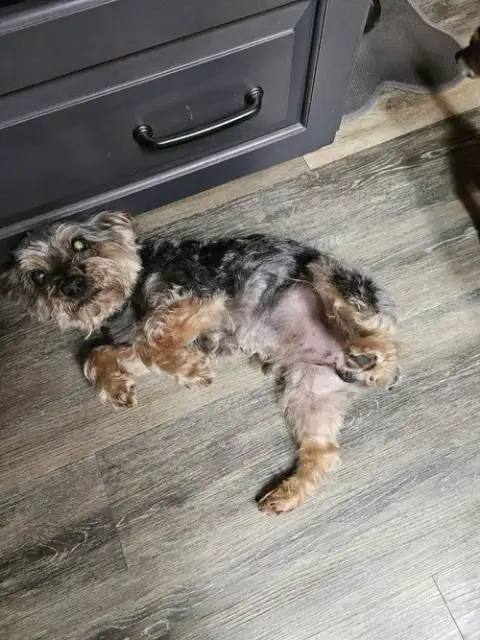 Ernie