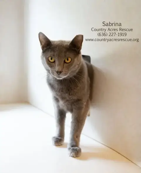 Sabrina photo 3