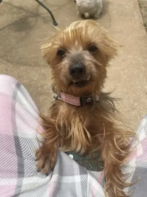 Tilly photo 5