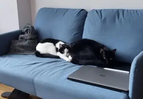 Colby And Jack