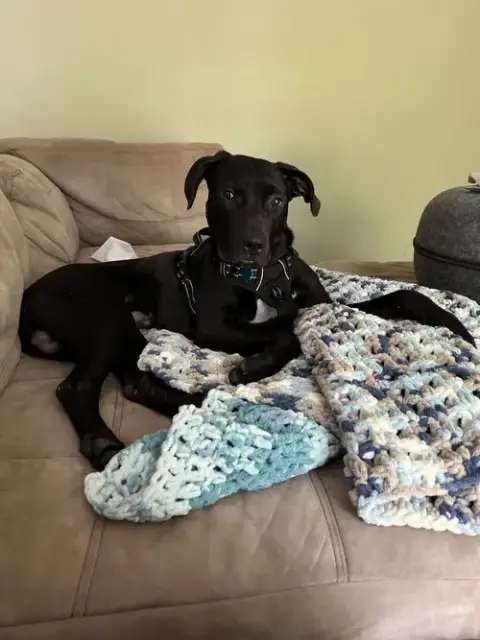 Monty photo 4