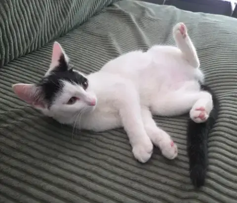Missy photo 4