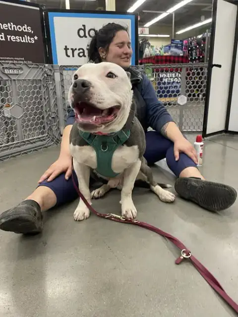 Alvin “Hip:” Not At Shelter