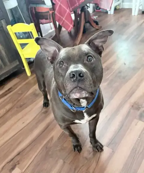Roni