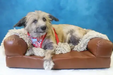 Lexie photo 2