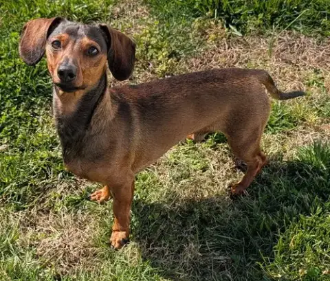 Frankie In Tn photo 2