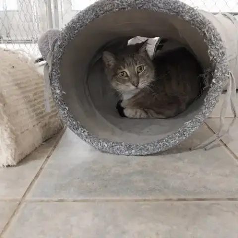 Lokris photo 2