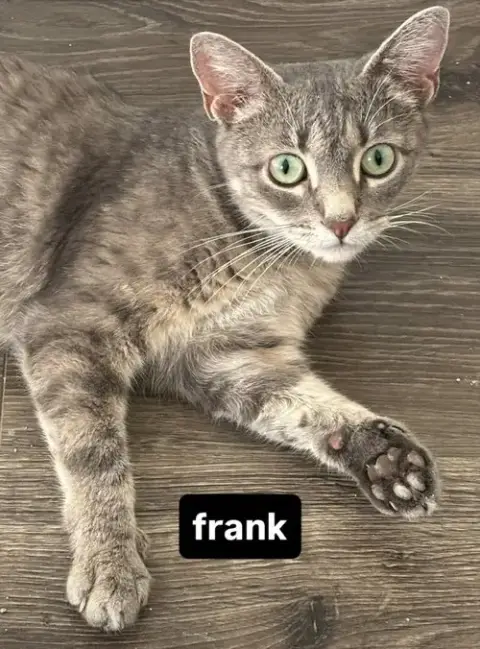 Frank