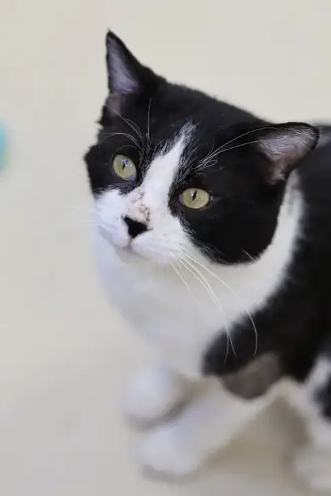 Frank