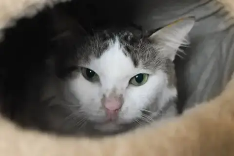 Vinny