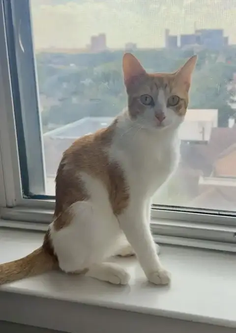 Butters photo 4