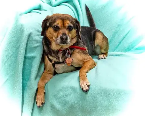 Bella B photo 2