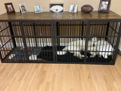 Koda photo 5
