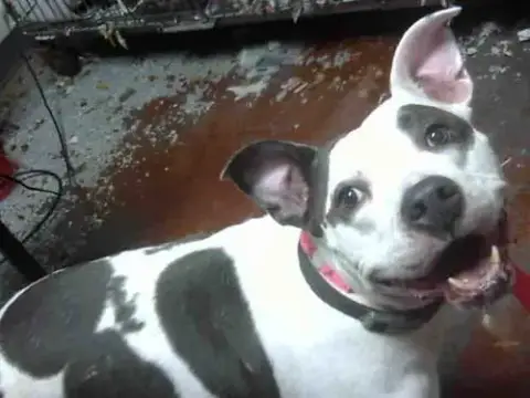 Winnie