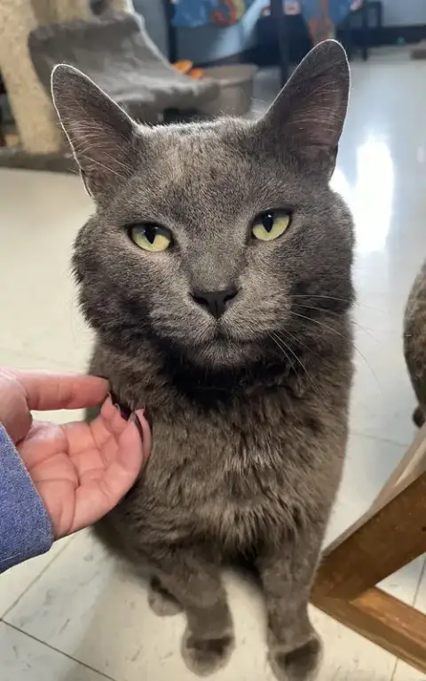 Max