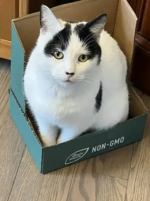 Lucky