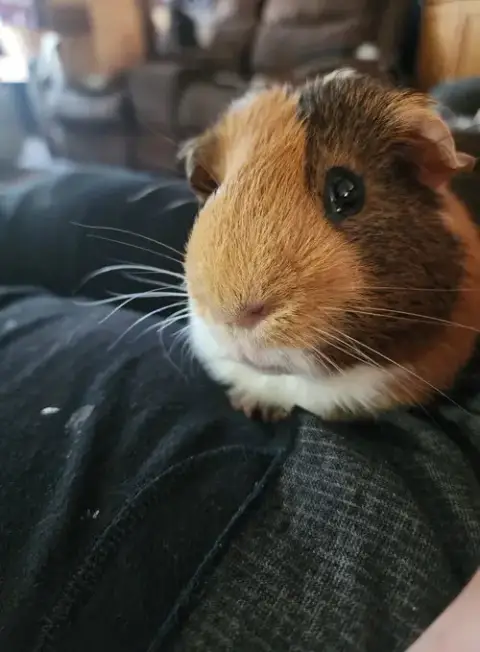 Walter ⭐️ photo 3