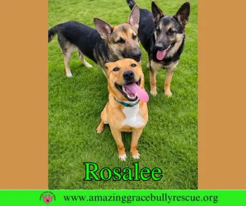 Rosalee photo 2