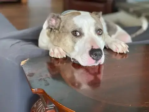 Holly photo 3