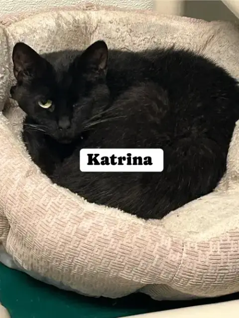 Katrina