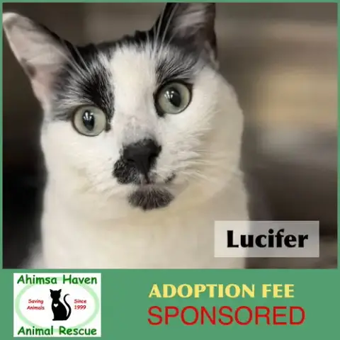 Lucifer