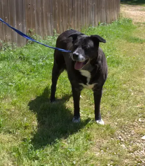 Marla photo 2