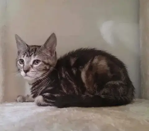 Ethel photo 3