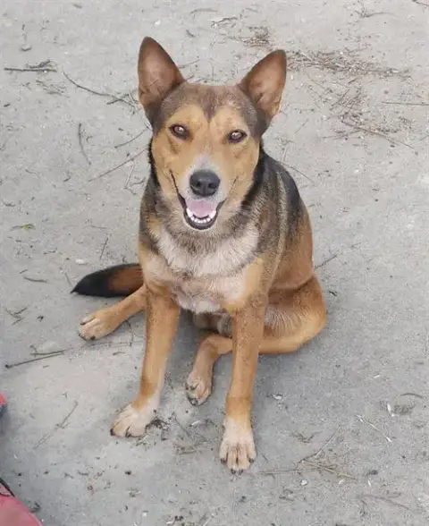 Leon
