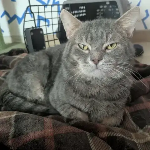 Bob photo 2