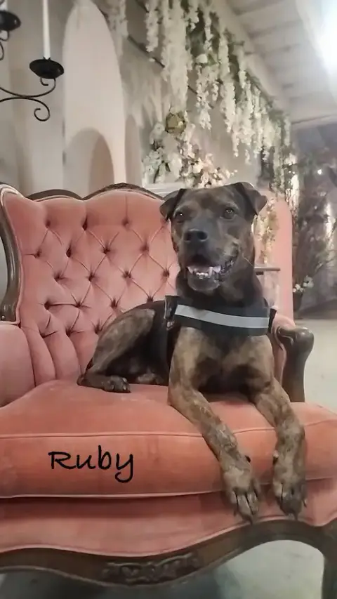 Ruby