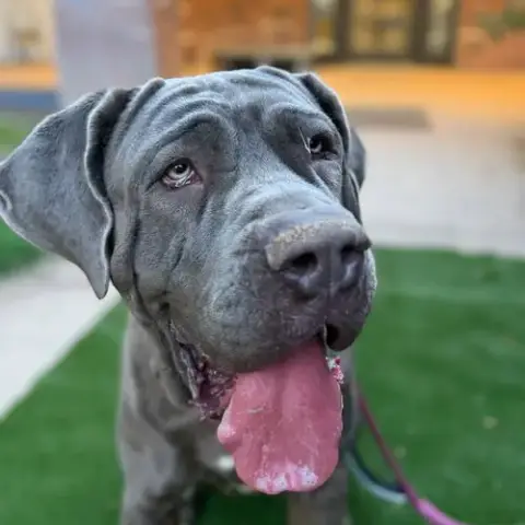 Xena photo 2